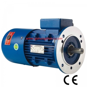 Động cơ mặt bích có thắng từ ( Brake motor)