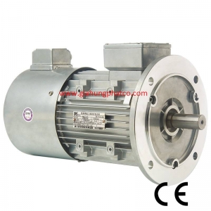 Động cơ điều khiển biến tần ( inverter motor)