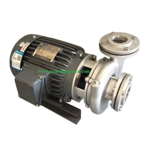 Máy bơm TECO Đầu liền inox