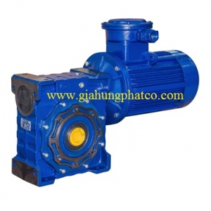 RV worm Gearbox