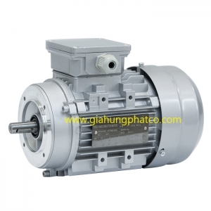 động cơ mặt bích B14