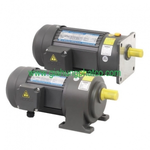 ĐỘNG CƠ GIẢM TỐC CHÂN ĐẾ & MẶT BÍCH 0.37KW