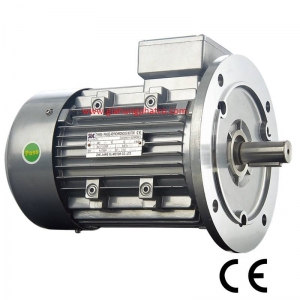 Type: YE2 - 80M4