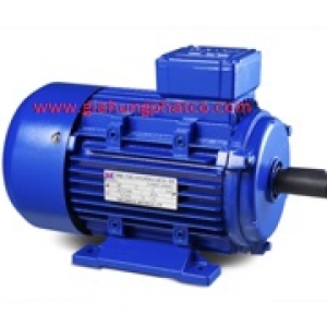 Động cơ 2 cấp tốc độ ( Doulbe Speed motor )