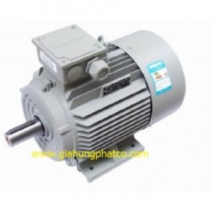 Động cơ chân đế 3 pha