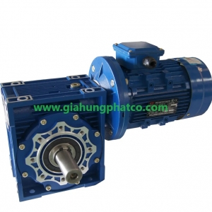 RV gearmotor