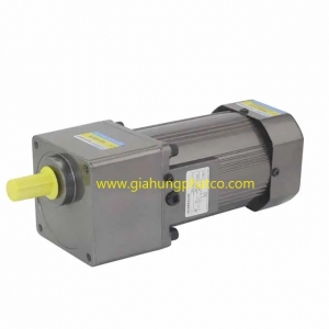 động cơ giảm tốc mini 160w - 3 phase 380v